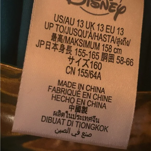 Halloween Disney Jasmine Teal and Gold Princess Costume Sz 13 Top & Bottom set - Picture 5 of 5